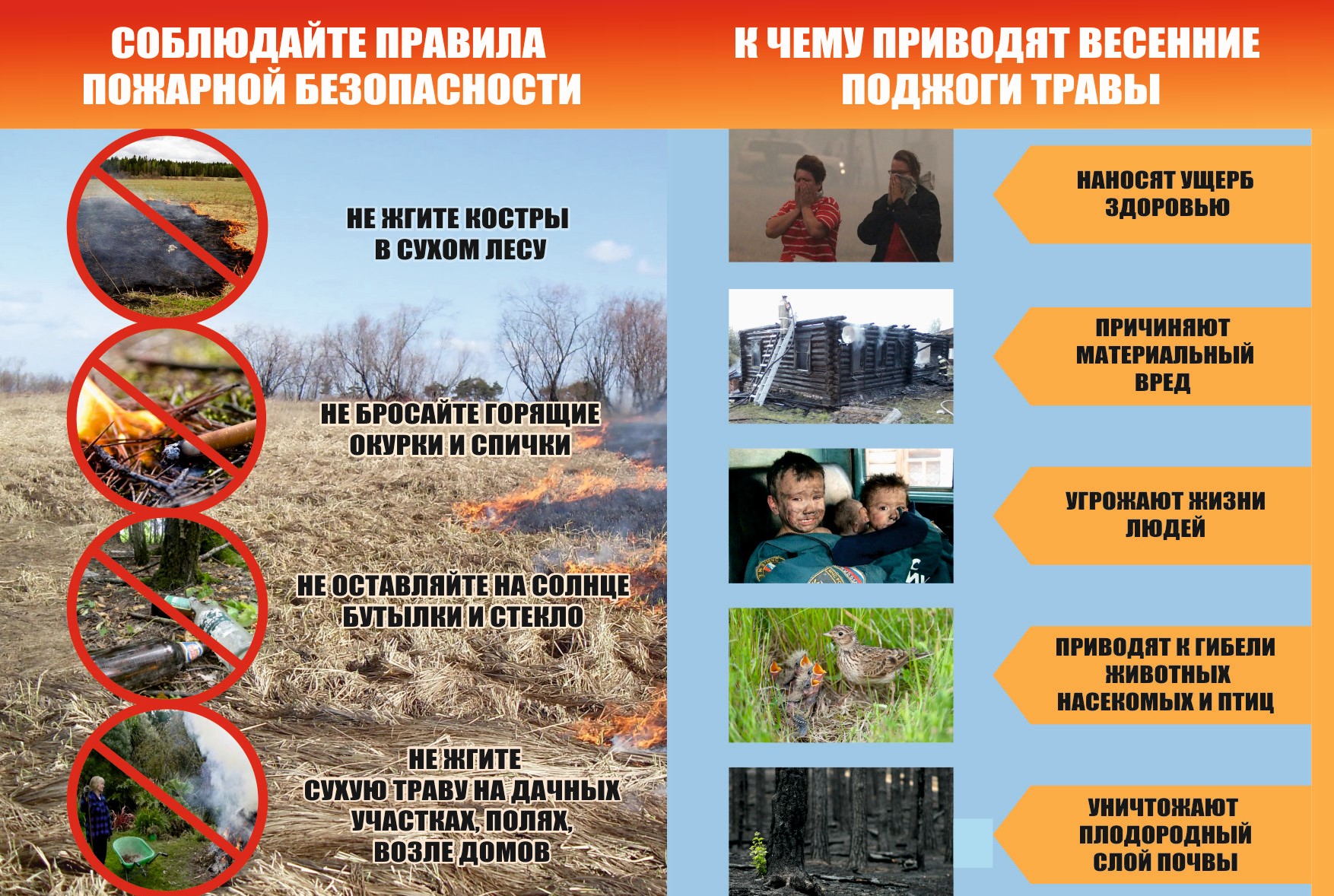 Сообщение